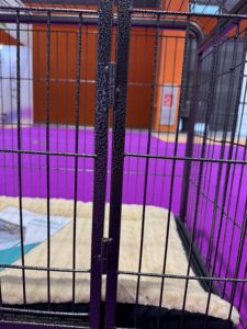 Ağır Metal köpek kafesi ışıklık ön kapı birden boyutları uygun köpek sandık katı desen evcil hayvan kafesi çelik tel çerçeve ile - Product Image 3