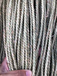 Raw Seagrass Fiber / Seagrass Coir Eco Friendly Fiber for Basketry <b>Carpet</b> Rope Making Vietnam Seagrass Coir Handwoven Material - Product Image 3