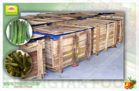 Meilleur prix du Vietnam Cornichons acides marinés Concombres doux épicés Tambour en vrac HACCP BRC IFs Vinaigre de sel en conserve frais certifié