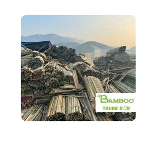 [Troncs de bambou Trung Son] Bambou moderne fendu de 32 pouces pour les cerfs-volants et le tissage au Pakistan et au Vietnam - Product Image 1