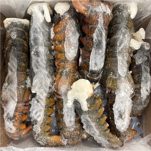หางกุ้งล็อบสเตอร์แช่แข็ง IQF FD คุณภาพพรีเมียมสำหรับส่งออก บรรจุภัณฑ์แบบขายส่ง รักษาคุณภาพด้วยการแช่แข็ง บรรจุภัณฑ์ขนาดใหญ่ อายุการเก็บรักษา 24 เดือน - Product Image 6