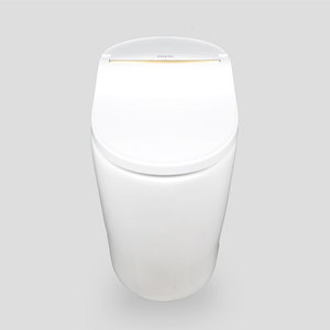 TREVI TST-DX5R00RS_D1 Bidé Inteligente con Descarga Automática, Asiento Alargado con Calefacción, Hecho en Corea, Lujoso, Ecológico - Product Image 2