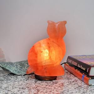<b>Himalayan</b> <b>Rock</b> <b>Salt</b> Owl <b>Lamp</b> Natural Pink <b>Salt</b> Animal Light Modern Design Fire Resistant for Living Room & Kitchen - Product Image 2