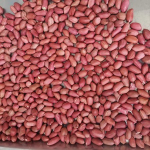 Cerneaux d'arachides biologiques bruts séchés de qualité supérieure, non-OGM, 1 kg, pour des collations saines - Product Image 1