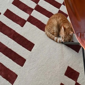 Alfombra Moderna Abstracta Geométrica, Alfombra Suave Hecha a Mano, Antideslizante, para Sala de Estar, Dormitorio, Oficina, Hotel, Decoración - Product Image 6