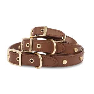 Handmade Premium Leather Dog <b>Collar</b> With Brass Buckle And Durable Stitching For Long Lasting Performance - Product Image 5