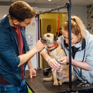 Cortauñas para Perros Pequeños, Medianos y Grandes, de Acero Inoxidable, para Mascotas y Gatos, con Lima de Uñas Gratis, Talla L - Product Image 4