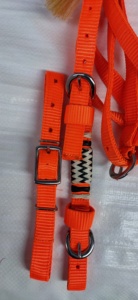 Licol d'entraînement souple en cuir/nylon réglable, couleur personnalisée, modèle 2026 - Product Image 6