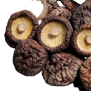 FACTORY PRICE Dried Shiitake Mushroom HOT SELLING Multi-Size 2-5cm 1-2cm Thick Caps Vietnam Origin No Additives Export Standard - Product Image 1