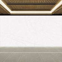 Carreaux de Céramique Antibactériens Modernes Effet Briques de Foyer Polies Brillantes Modèle 1352-L 300x600mm Adhésifs pour Salon, Escalier, Centre Commercial, Villa