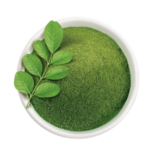 Feuilles de Moringa séchées au soleil en vrac avec poudre de feuilles de Moringa, origine Vietnam, matière première en gros, export, sac refermable, direct usine - Product Image 3