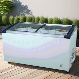 Réfrigérateur-congélateur commercial pour supermarché, vitrine à glace à double porte coulissante incurvée en verre, <span class=keywords><strong>classe</strong></span> énergétique 248L - Product Image 5