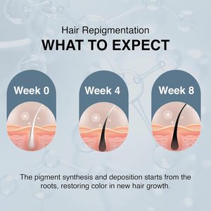 ThriveCo Anti Grey Hair Serum | Reverse Greying Hair & <b>Beard</b> | Hair Prime Serum with Arcedin + Arcolys + Biotin | 1.01floz(30ml) - Product Image 2