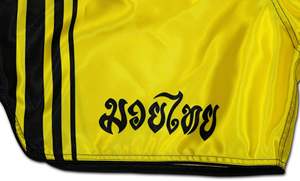 Shorts de Muay Thai con logo personalizado, tela satinada, transpirable, ligero, para entrenamiento en el gimnasio, cintura elástica, ropa deportiva para hombres y mujeres - Product Image 4