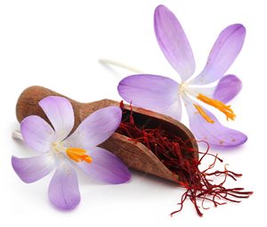 Top Quality 100% Pure Red Kashmiri Mongra Saffron Single <b>Spice</b> & Herbs Natural Raw Dried Mongra Saffron at from India - Product Image 1