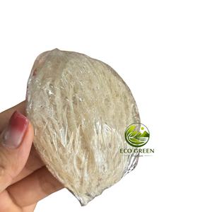 Nid d'oiseau de salangane blanc naturel, soigneusement nettoyé, de qualité supérieure, comestible, pour les magasins et distributeurs d'aliments santé - Product Image 3
