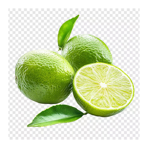 Limón Verde Natural Preparado para Pedidos al por Mayor y Distribución Comercial - Product Image 1