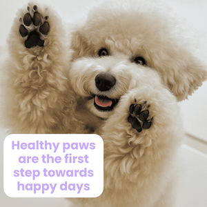 Crème de soin pour coussinets de pattes de chien et de chat japonais hydratante - Product Image 5