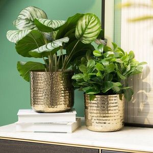 Modernist Metal Planter Decorative Flower Holder Elegant Indoor Outdoor Patio Garden Display Solution Premium Craftsmanship - Product Image 5