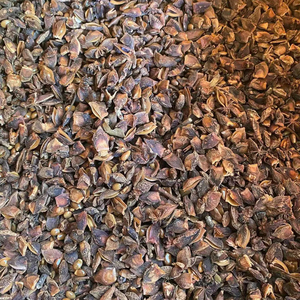 Anís estrellado seco de Vietnam, crudo, sin OMG, Lang Son, 10 kg, suministro a granel, calidad de exportación, precio de fábrica, servicio OEM, el mejor - Product Image 1