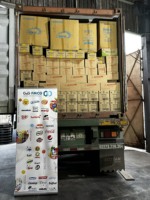 Oishi Cuit au four 14g X 100 Sacs Snacks Noix de coco Chocolat Vanille Noisette Taro-Oreillers à saveur sucrée Gaufrette Fournisseur en gros à l'exportation