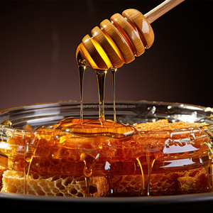 Miel natural salvaje cruda de 250g Calidad superior Sin azúcar añadido Mejor precio de fabricación Embalaje a granel disponible - Product Image 2