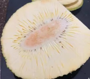 FRUITS À PAIN CONGELÉS DU VIETNAM DE QUALITÉ SUPÉRIEURE-NATURELS ET FRAIS, IDÉAUX POUR LA CUISSON, LA CUISSON ET LES COLLATIONS - Product Image 5