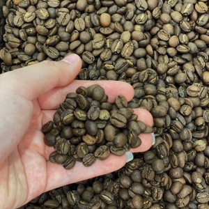 กาแฟอาราบิก้าคั่วแบบ OEM กระบวนการล้างสะอาดหมดจด ซอนลา ได้รับการรับรองมาตรฐาน ISO คุณภาพ A+ รสชาติกลมกล่อมแบบผลไม้ บรรจุถุง ราคาดีกว่า ซื้อจำนวนมากได้ - Product Image 2