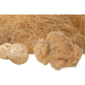 Fibra de coco de tamaño personalizado del fabricante de Vietnam excelente para hilado de cáscara natural buen precio encendido instantáneo - Product Image 6
