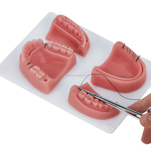 High Quality Dental <b>Suture</b> Practice Pad Silicone 3D Training Model Surgical Instruments Wholesale Supplier Manufacturer - Product Image 1
