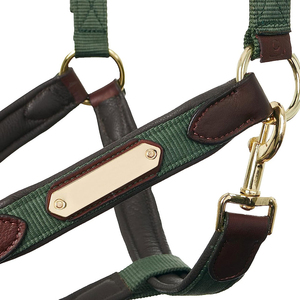 Harnais en cuir pour cheval avec boucles en laiton et sangle verte pour l'équitation et l'entraînement - Product Image 3