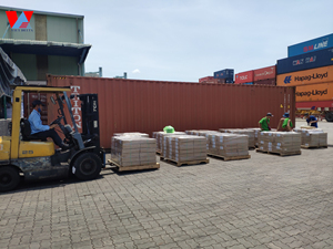 High Quality Coconut Jelly in Syrup and Compressed Nata De Coco with Pressed 1:10 Made in Vietnam/ Lima - Product Image 5