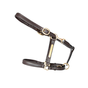 Cabestro Ecuestre Personalizado con Logotipo, Cómodo, de Cuero Genuino, con Cuerda, de Cintura Alta para Carreras de Caballos, con Empaque Personalizado - Product Image 1