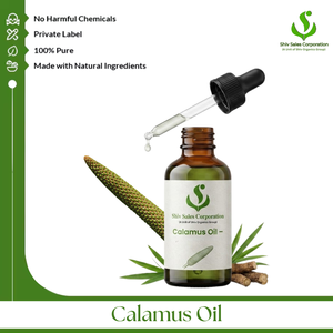Fournisseur d'huile essentielle de calamus pure, proposant des approvisionnements en vrac de haute qualité pour les cosmétiques, les soins personnels et les parfums à l'échelle mondiale - Product Image 1