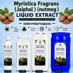 Extracto Líquido Oral de Myristica Fragrans (Nuez Moscada/Jaiphal) de Grado Alimenticio Natural para Uso B2B a Granel - Product Image 1