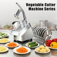 Welldone Eco-vriendelijke Fruit- en Groentesnijder Julienne Snijder Friet Snijmachine Verwerkingsinstallatie 6 Maanden