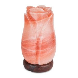 Lámpara de Sal Rosa del Himalaya Personalizada de Alta Calidad, Material Orgánico en Forma de Rosa, Decoración para el Hogar, Animal Tallado - Product Image 6