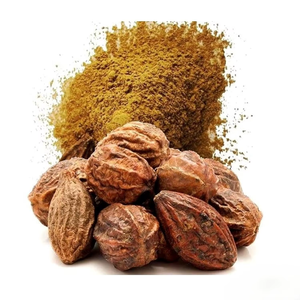 Poudre de Haritaki Pure de Qualité Alimentaire – Fournisseur en Gros pour Compléments Nutritionnels et Soutien au Bien-être Général - Product Image 5