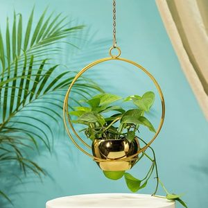 Pot de fleurs suspendu circulaire plaqué or, design minimaliste moderne pour plantes vertes - Product Image 1
