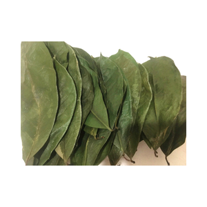Dried Soursop Graviola Leaves Premium Natural Bulk Export Vacuum Packaging Private Label Made Vietnam Organic Black <b>Tea</b> Bags/<b>Box</b> - Product Image 1