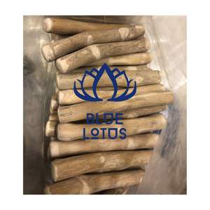 Bâton de bois de café de qualité supérieure 2026, sans éclats, pour le soutien dentaire et l'entraînement ludique - Product Image 1