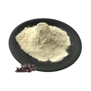 Poudre d'extrait de concombre de mer et de collagène marin pour la formulation de compléments alimentaires - Product Image 2