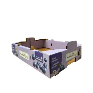 Caja de Mora Corrugada de Nuevo Diseño y Calidad para un Manejo y Transporte Seguros para Exportación a Todo el Mundo - Product Image 1
