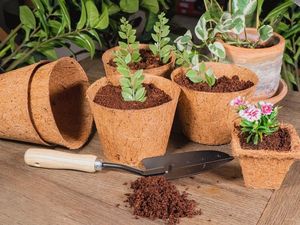 Macetas Ecológicas de Fibra de Coco para Plántulas, Macetas Biodegradables Naturales para Plantas de Interior y Exterior de Vietnam - Product Image 3