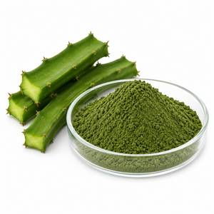 Fabricant professionnel d'extraits végétaux, poudre d'extrait de Cissus Quadrangularis, ingrédient premium pour les compléments alimentaires pour la santé des os, OEM - Product Image 3