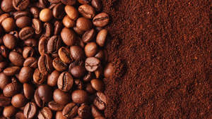 Hot Selling Ethiopian Arabica and Robusta <b>Coffee</b> <b>Beans</b> High Quality Private Label Fast Effect for Weight Loss Austria Product - Product Image 5