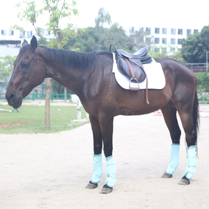 Bottes de protection pour les jambes des chevaux, couleur unie, tissu en maille respirant pour la protection des jambes des chevaux - Product Image 6
