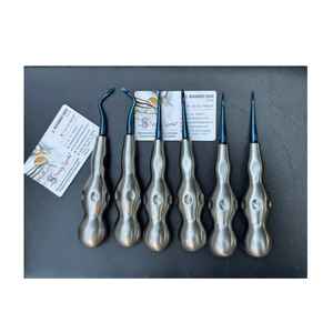 Juego de Elevadores Dentales de Acero Inoxidable Negro y Dorado, Elevadores Dentales Dentados y de Lucentización para Extracción de Dientes, ¡Venta Caliente! - Product Image 3