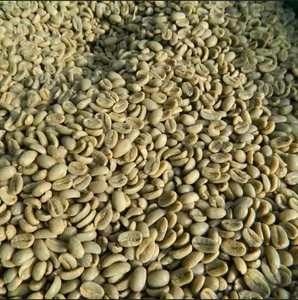 Granos de Café Verde Robusta de Especialidad USDA, Tamaño 18, Vietnam, Grado G1/G2, Certificado ISO 22000, 0.1% de Granos Negros y Partidos, Bolsas de 1000 kg - Product Image 4