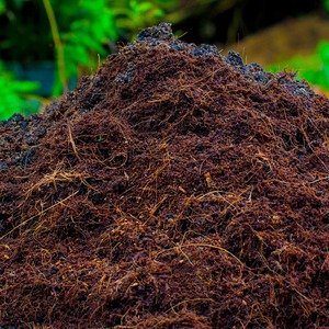 Wholesale Cocopeat Premium Growing <b>Medium</b> for Vegetable Farming Flower Cultivation and International Export Business - Product Image 4